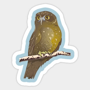 Ruru Morepork Sticker